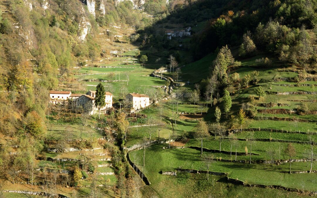 Il paesaggio terrazzato in Val d’Astico e Val Posina – 8 novembre 2024, Velo d’Astico (VI)