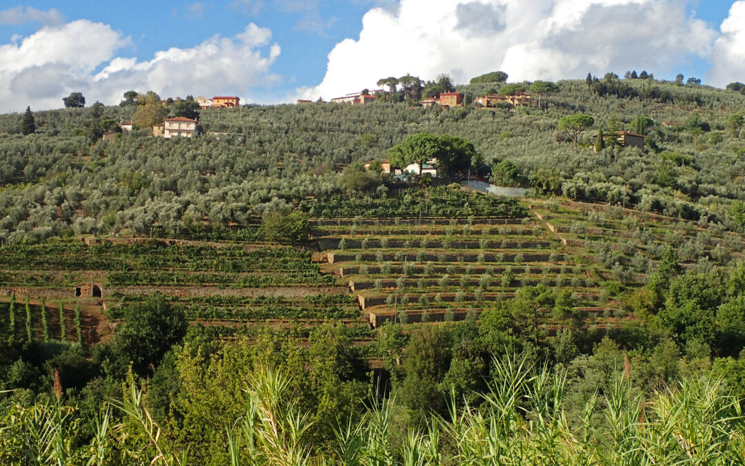 Corso formativo di base sulla tecnica costruttiva in pietra a secco – marzo 2026, Lamporecchio PT
