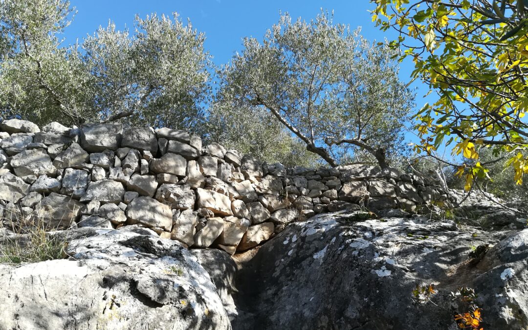 Convegno “Paesaggi rurali storici e patrimonio immateriale dell’umanità: l’arte dei muri in pietra a secco e le pratiche agricole tradizionali” – Vallecorsa FR, 17 aprile 2026