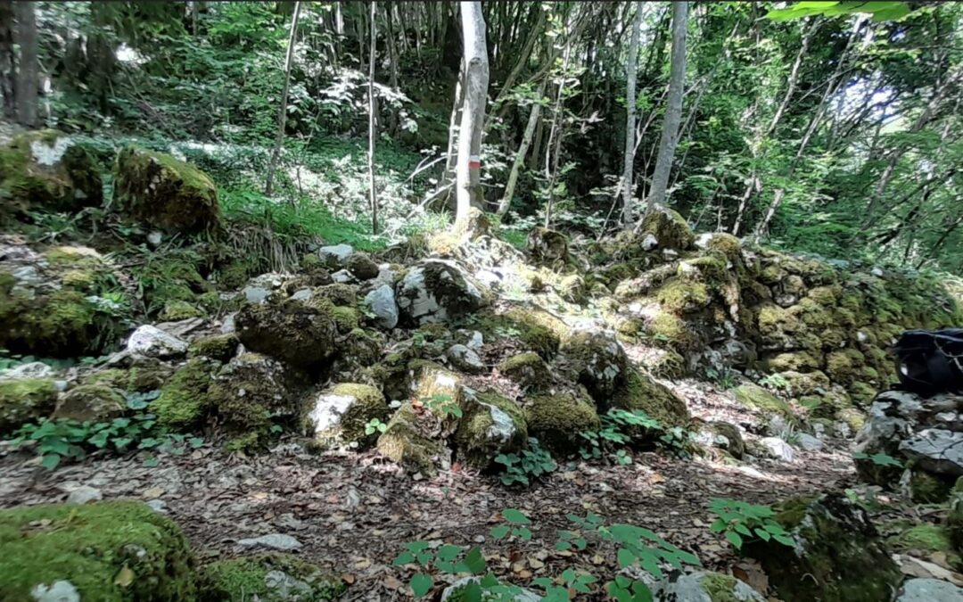 Conoscere e tutelare l’arte di costruire in pietra a secco – corso introduttivo teorico e pratico; Foza e Enego (VI): 8 – 14 giugno 2026