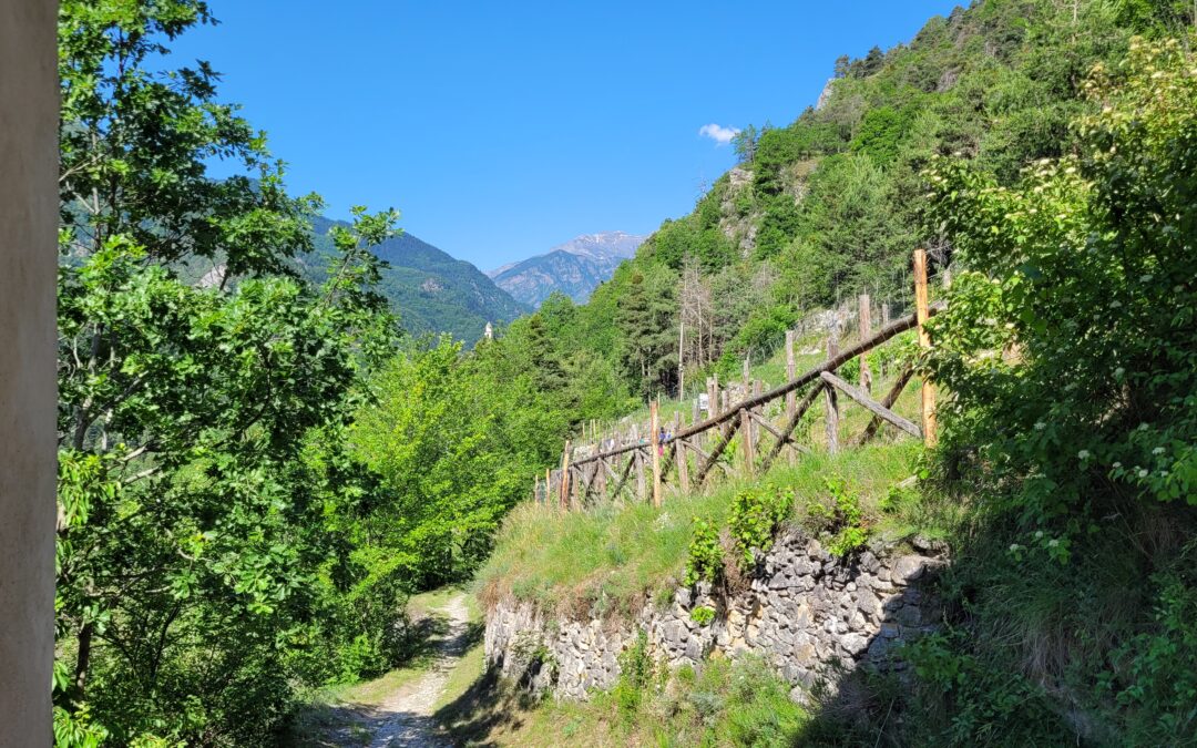 International Summer School: Val Maira (CN), 24 agosto – 9 settembre 2026